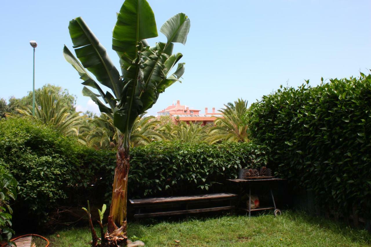 Apartamentos Con Jardin Y Pescina Puerto de la Cruz  Bagian luar foto