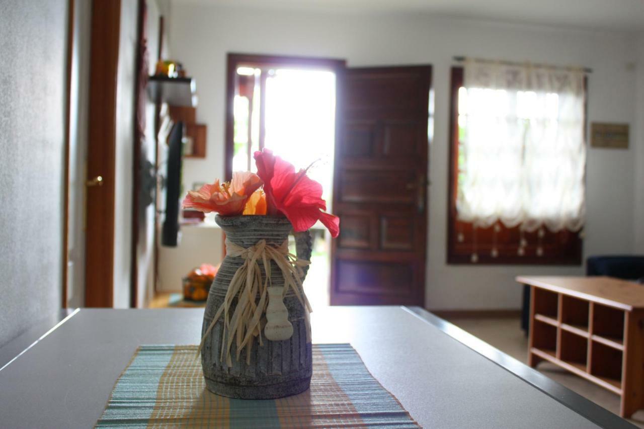 Apartamentos Con Jardin Y Pescina Puerto de la Cruz  Bagian luar foto